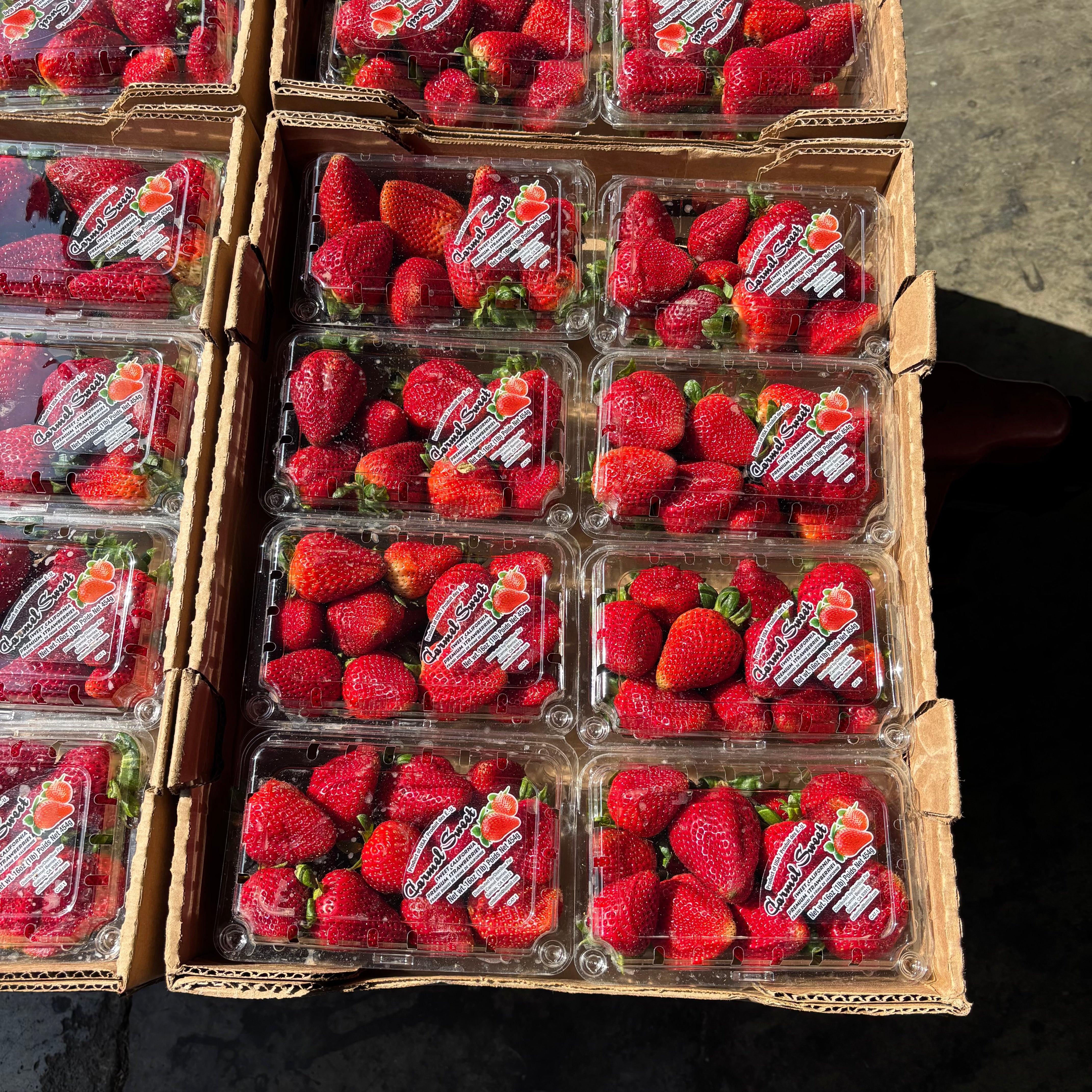 California Strawberry Box