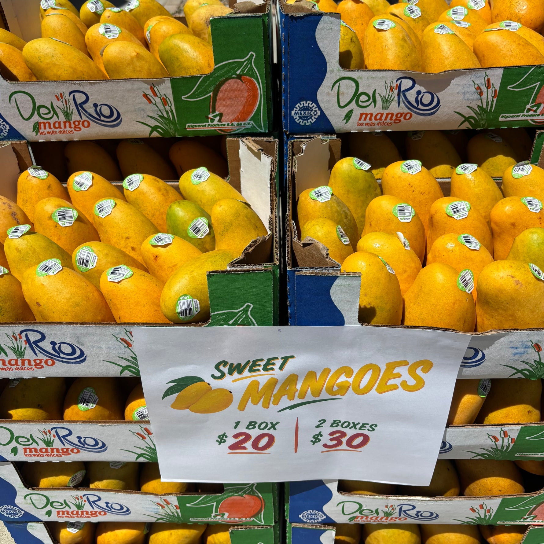 Sweet Mango Box