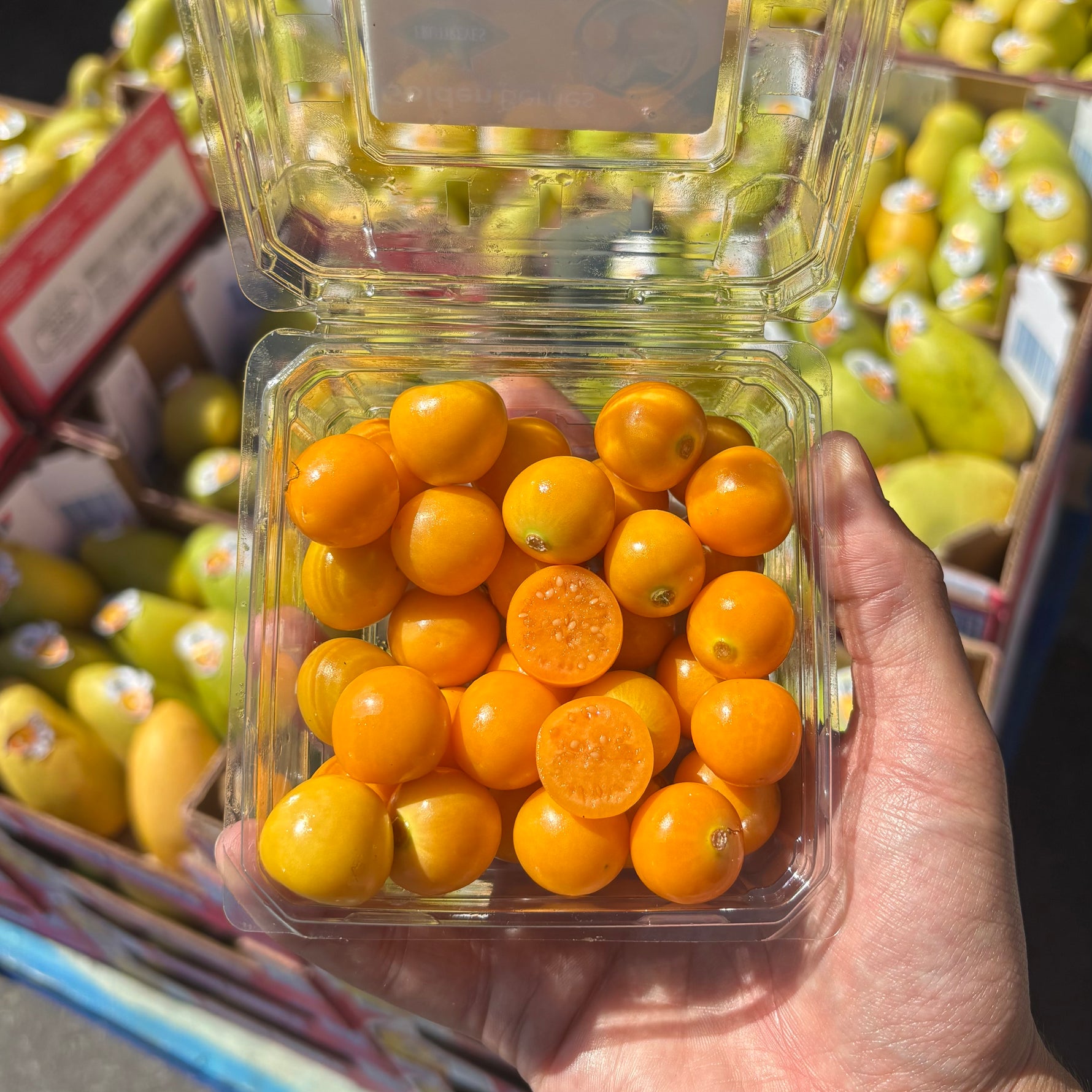 Golden Berries
