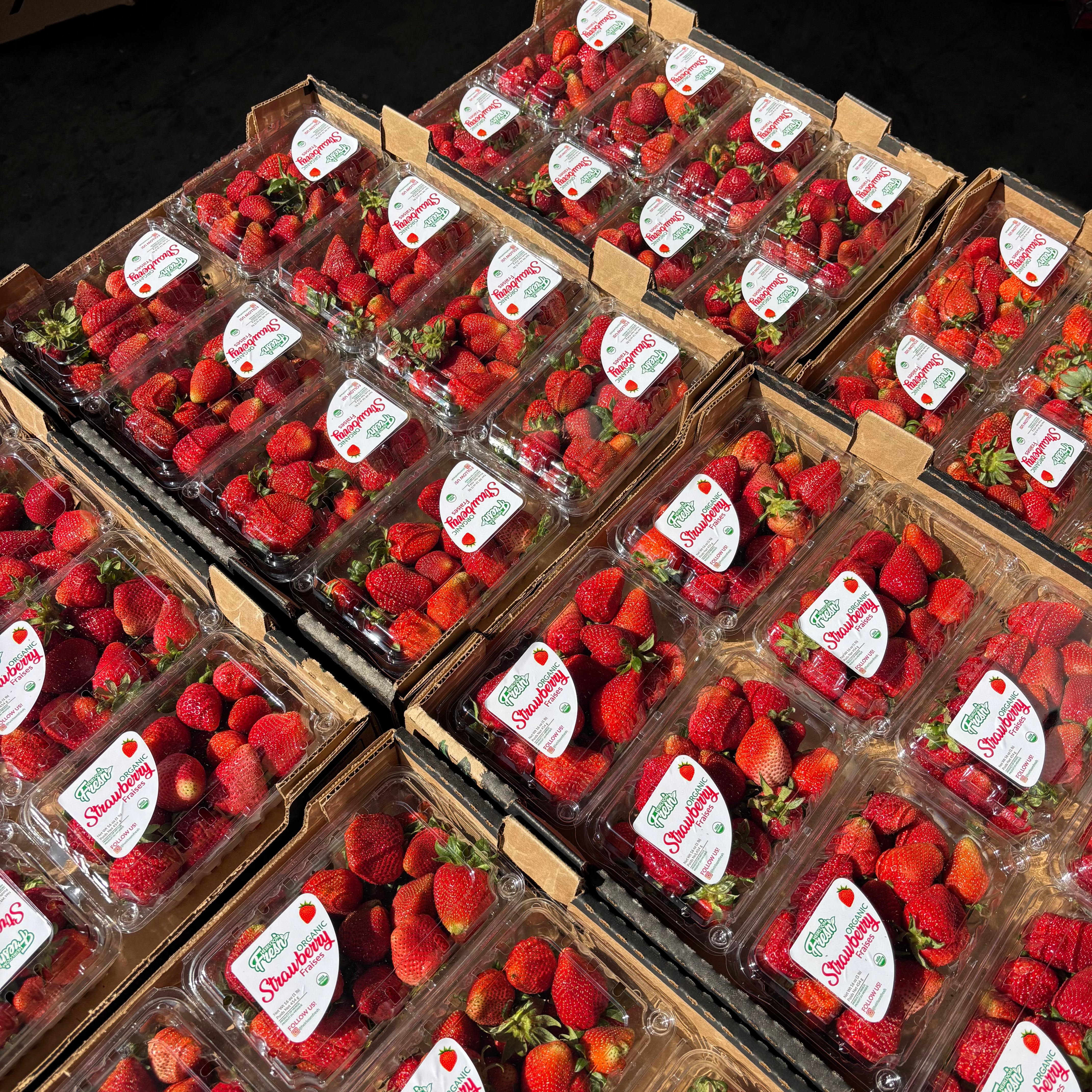 Organic Strawberry Box