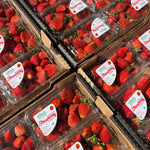 Organic Strawberry Box