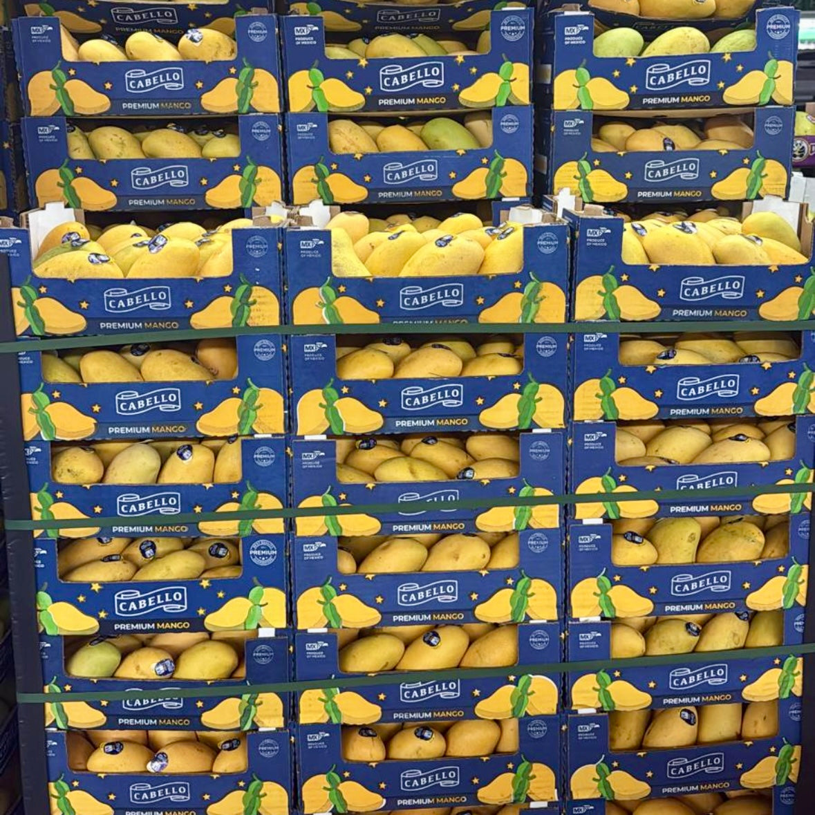 Full Boxes