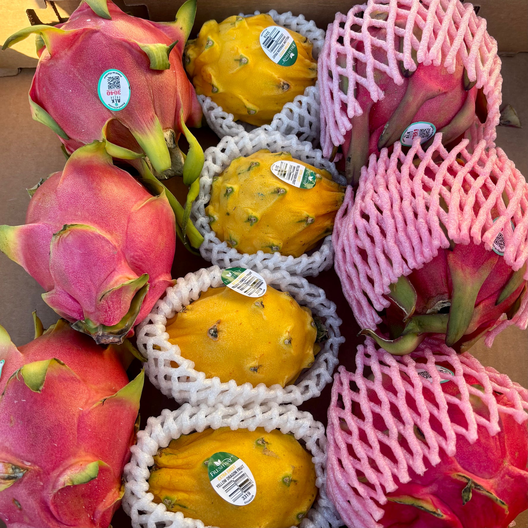 Mixed Dragon Fruit Box